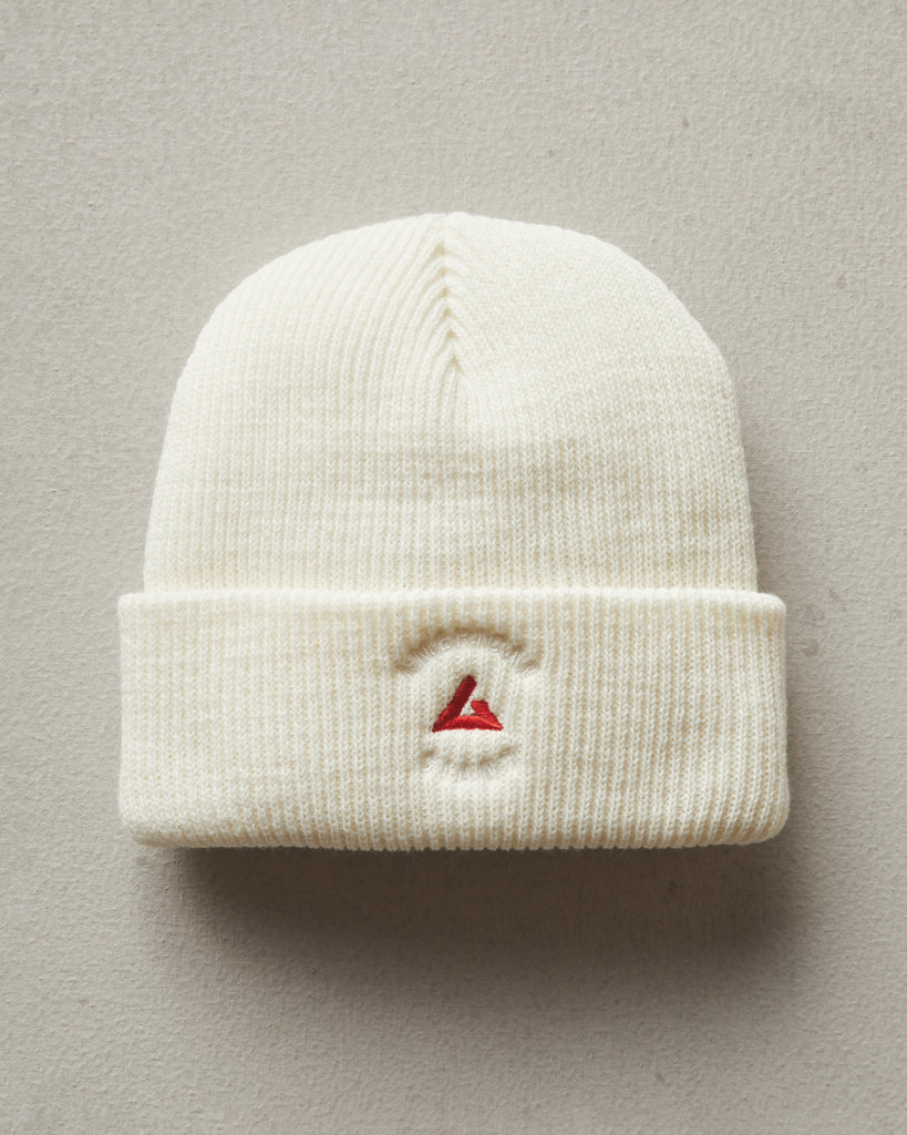 Beanie cap price 2025