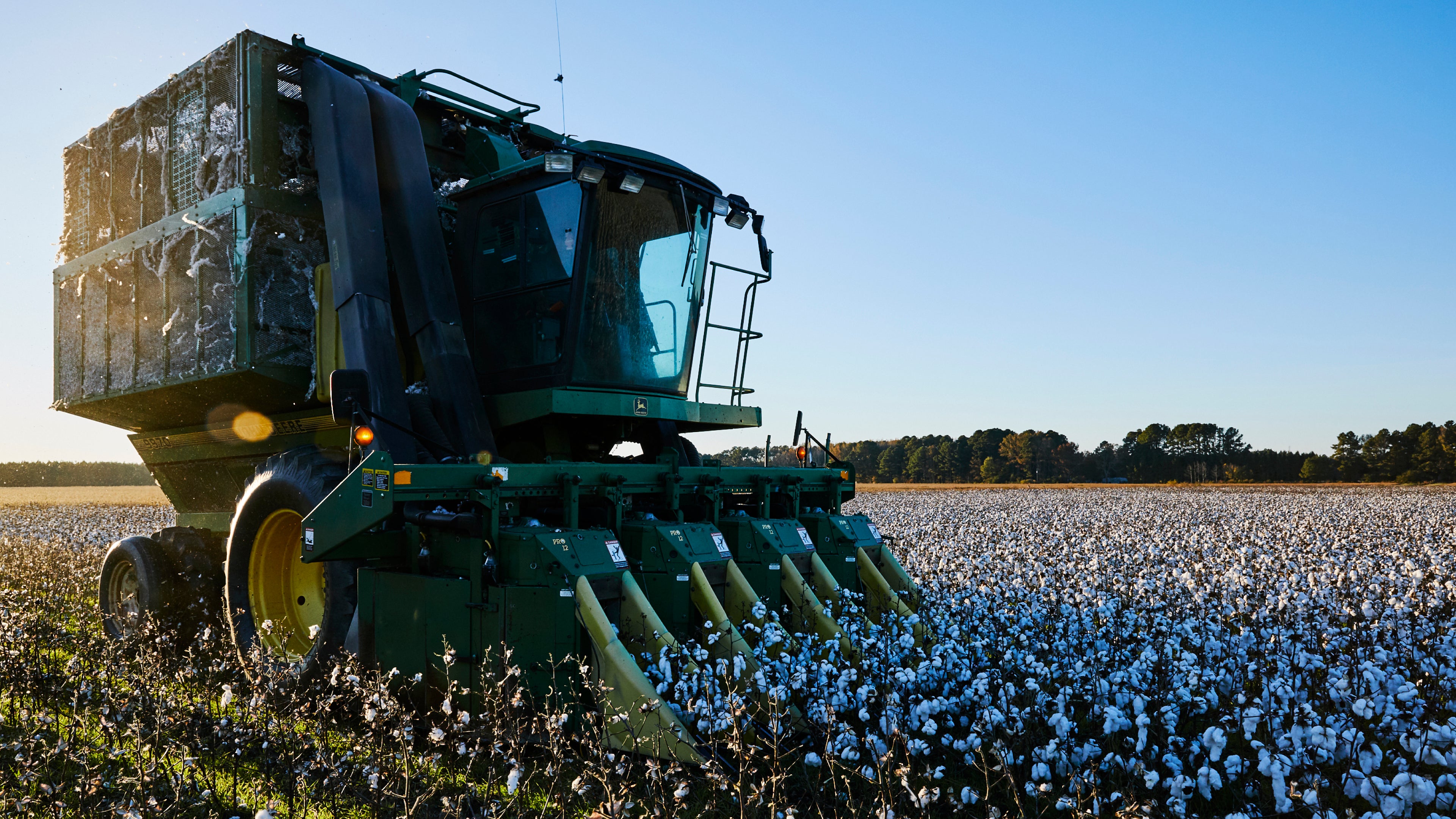 USA Cotton | American Giant | American Giant