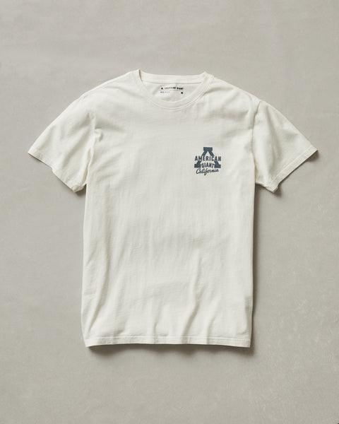 Men's Classic Cotton Graphic Tee - Turtledove